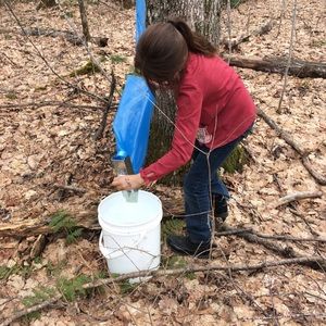 Meet your Posher, Gordon